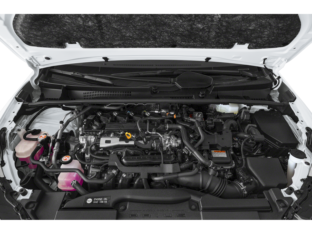 2025 Toyota Prius Nightshade