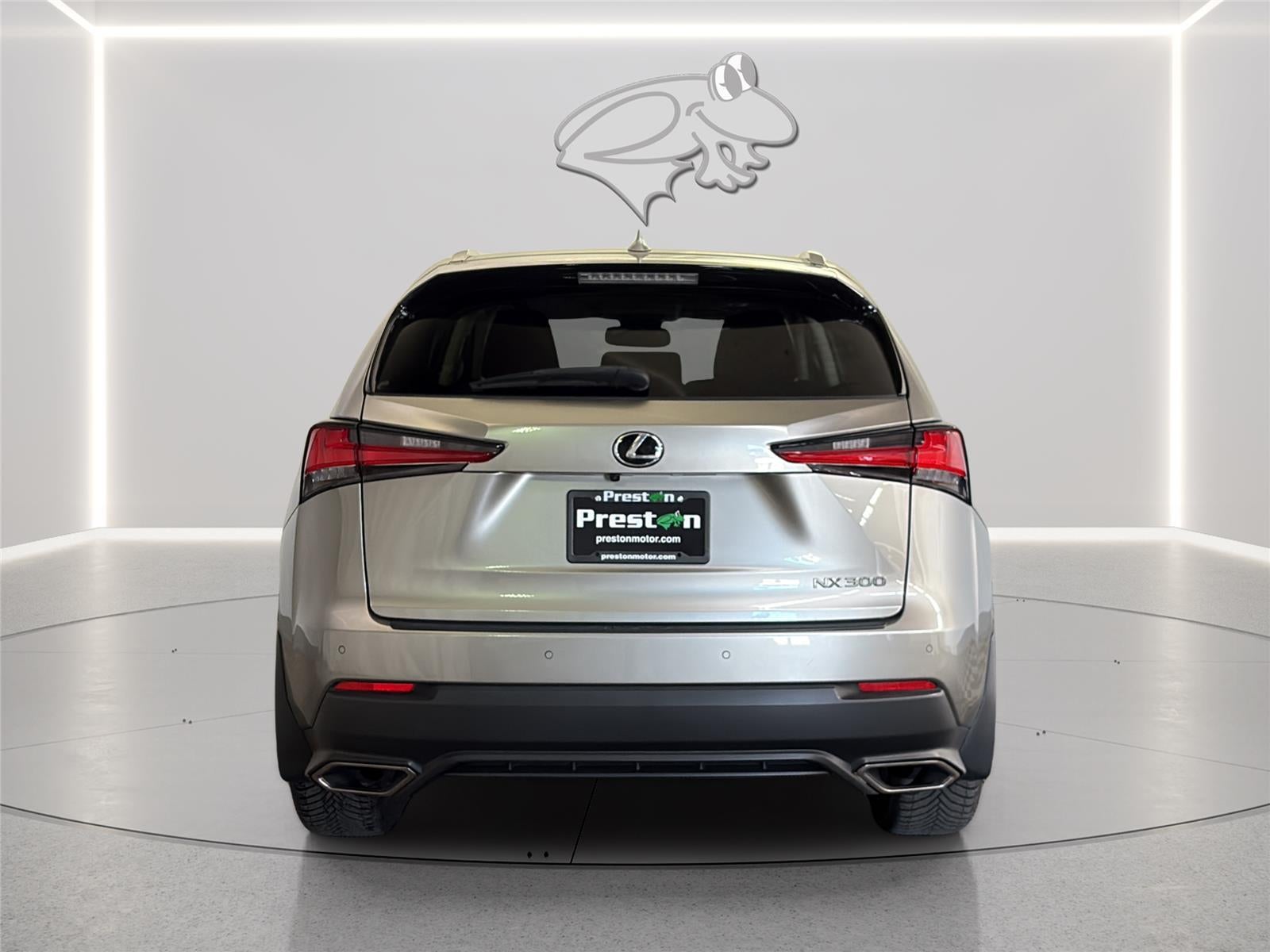 2020 Lexus NX 300 NX 300