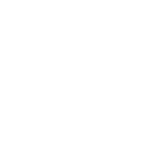Toyota 250 Logo